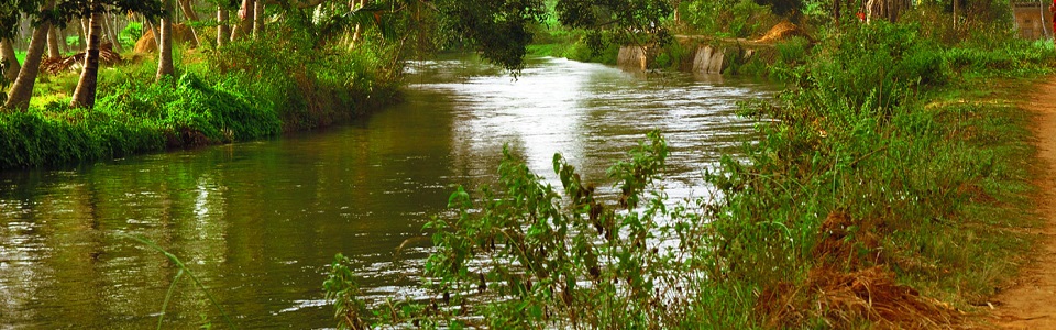 Kaveri Trail Marathon